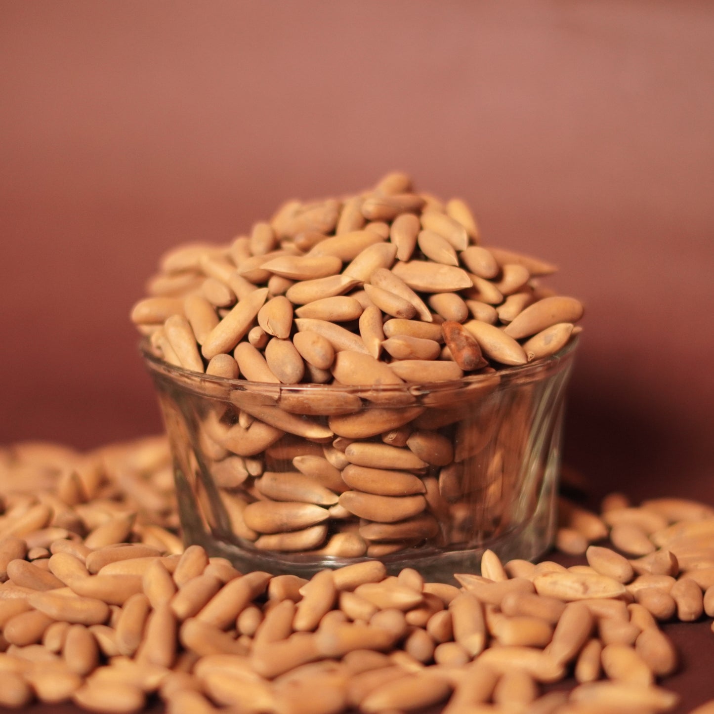 Pine Nut –