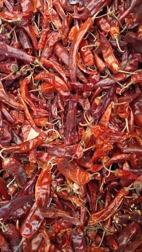 KASHMIRI CHILLI (SABOOT)