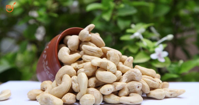 Kaju/Cashew
