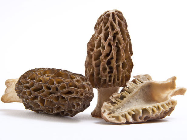 Gucchi (Wild Mashroom)