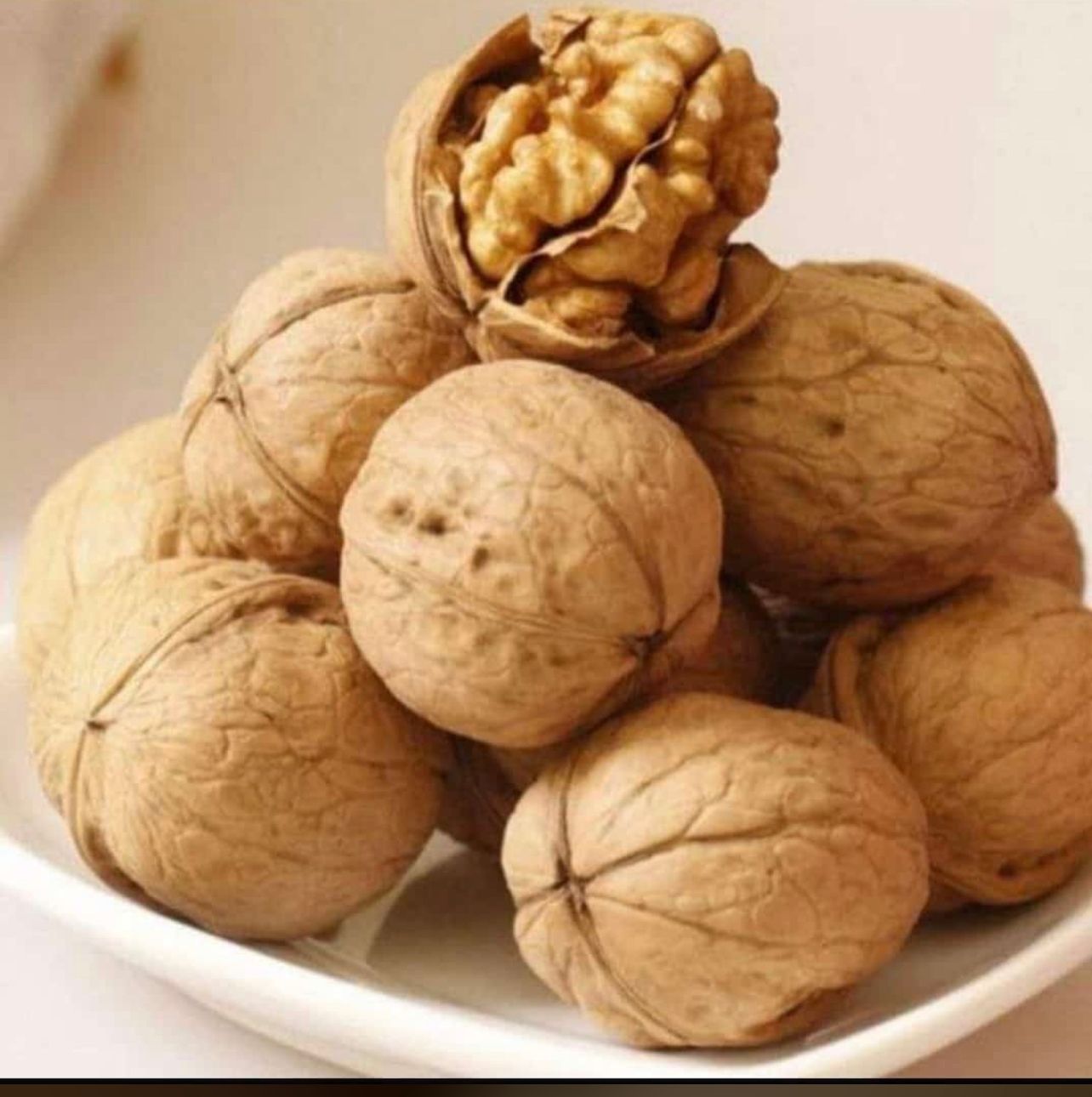 Kakzi Walnut