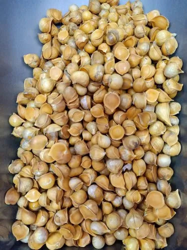 Garlic (Single Piece)