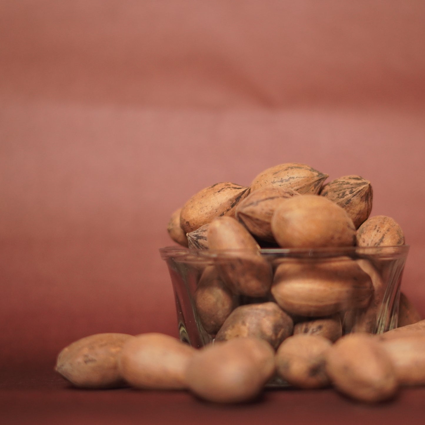 Pecan Nuts Shelled