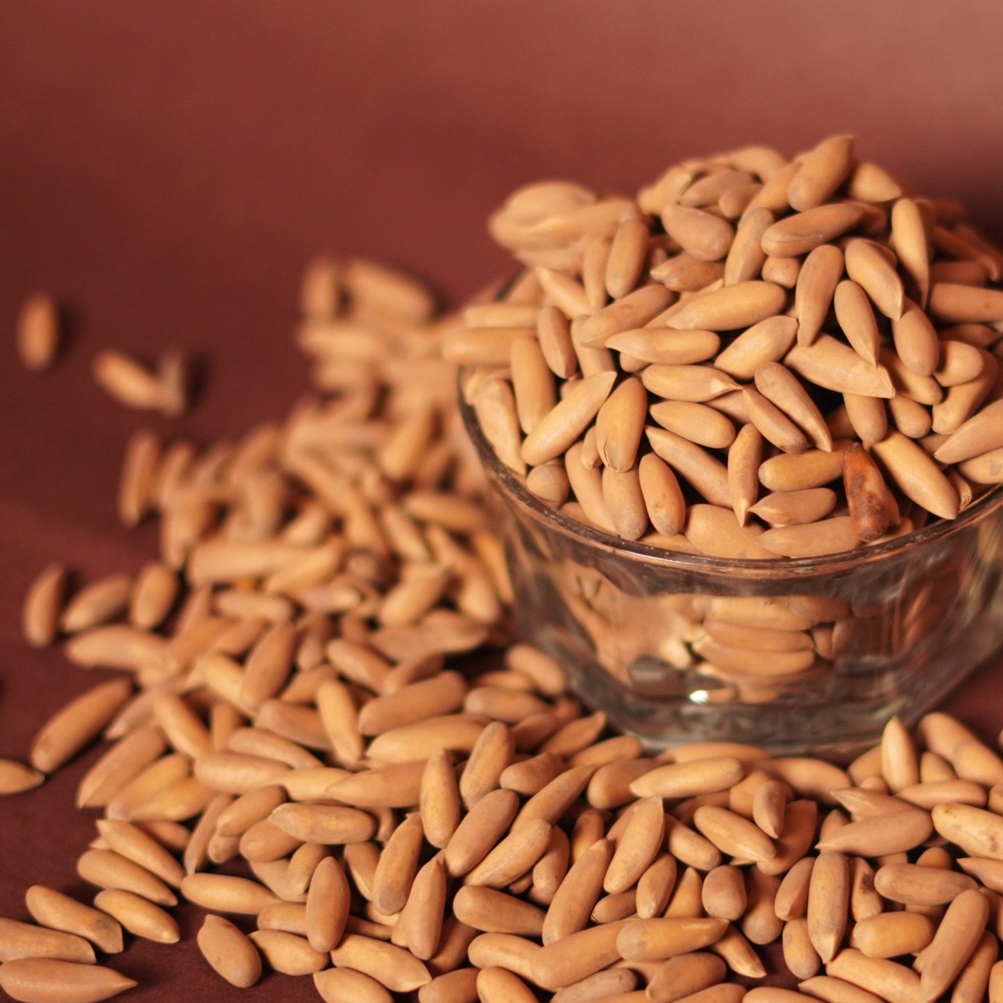 Pine Nut –