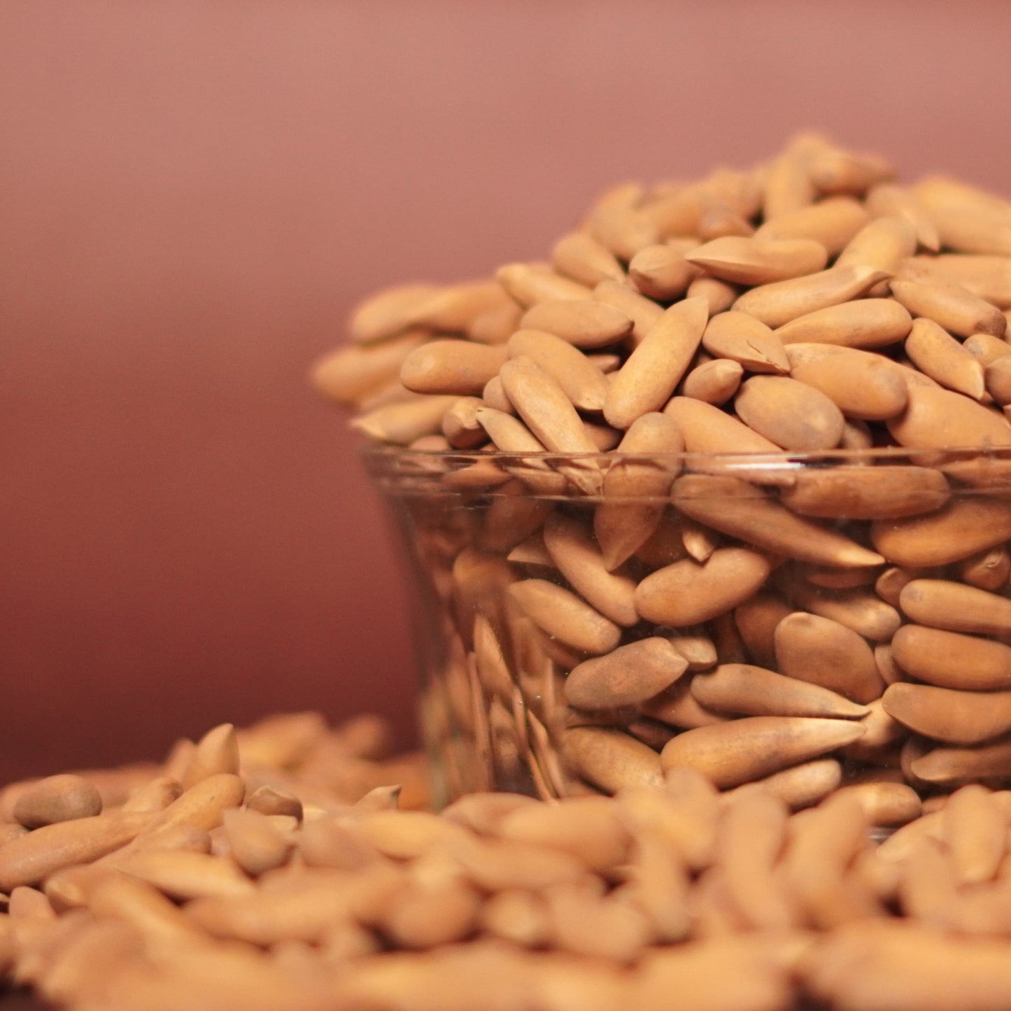 Pine Nut –