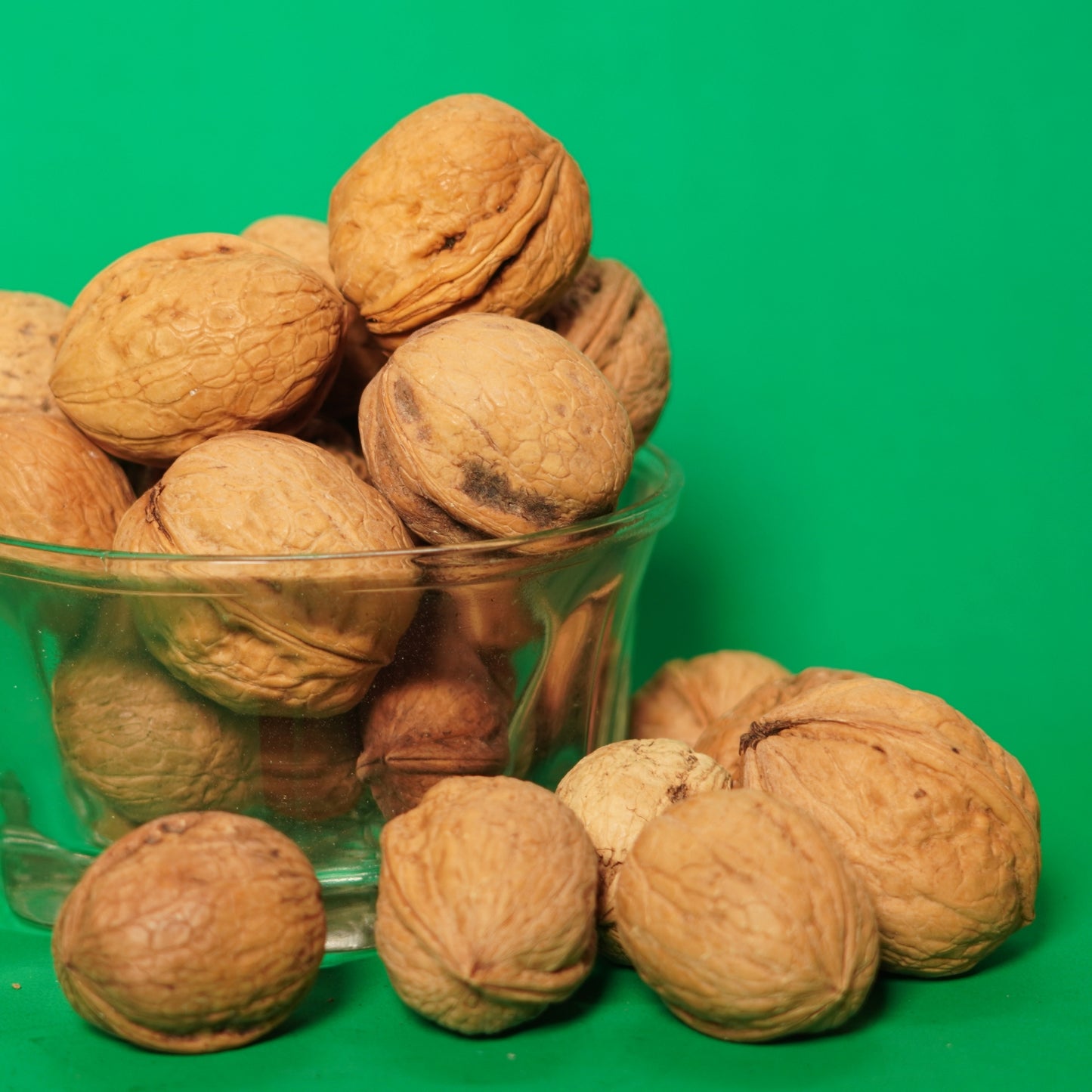 Papershell Walnut