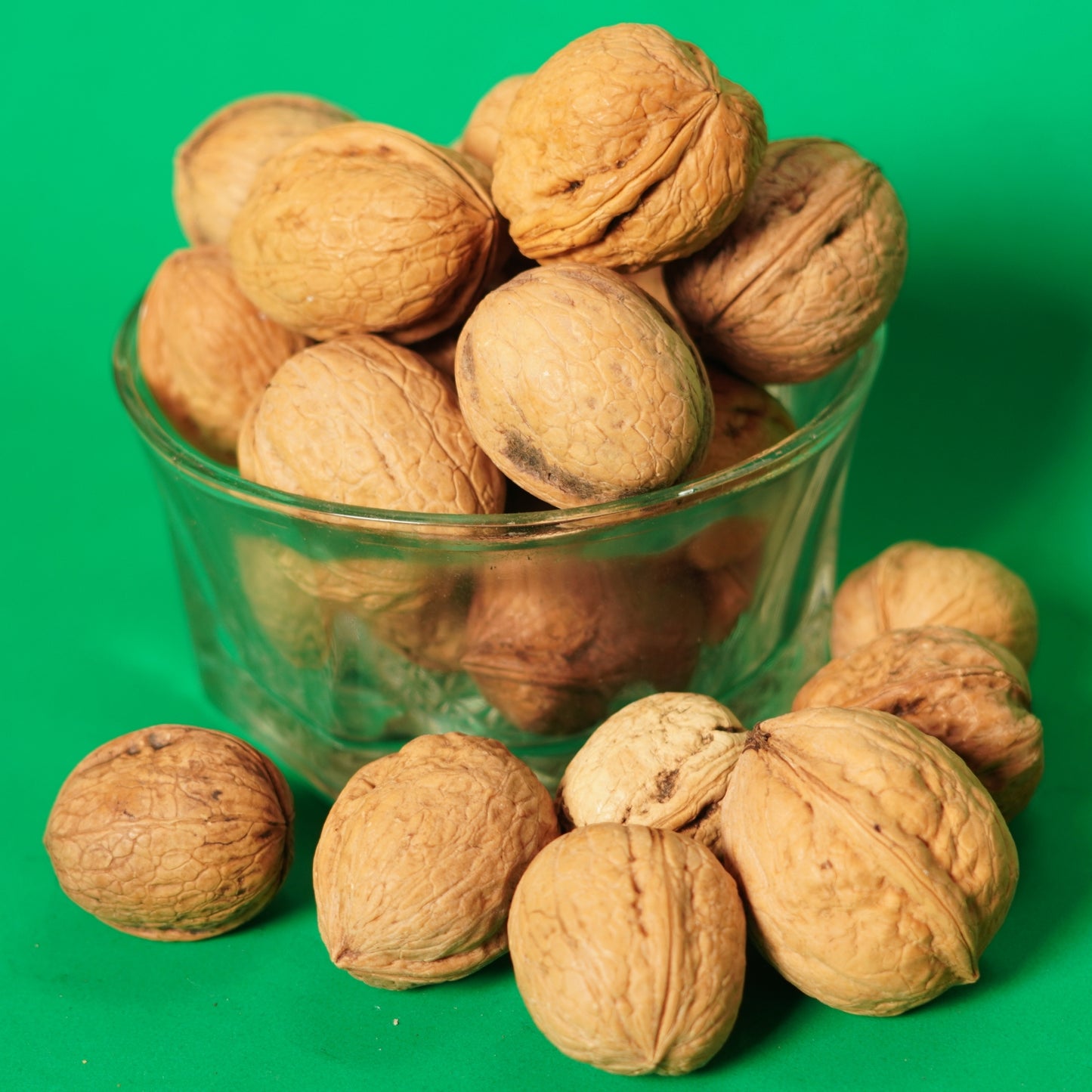 Papershell Walnut