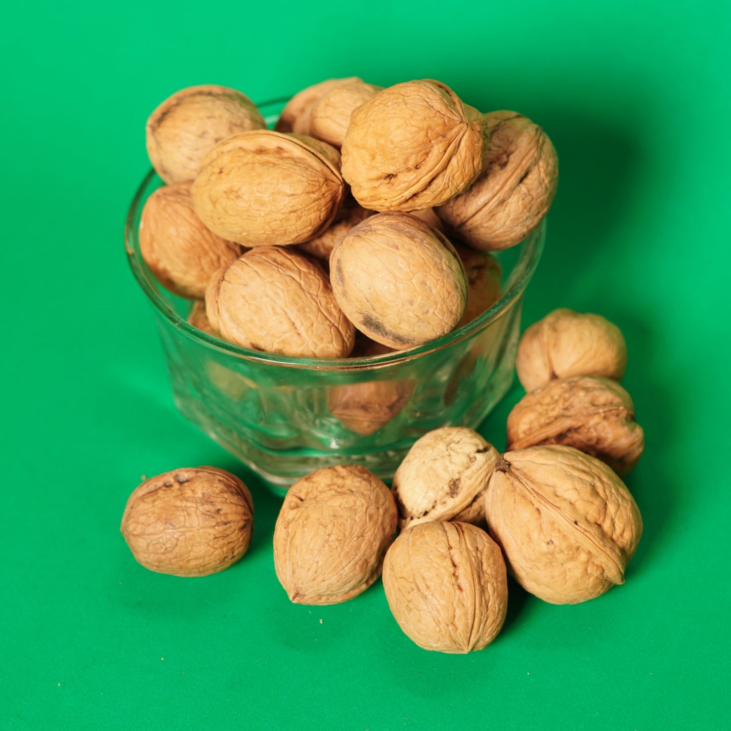 Papershell Walnut