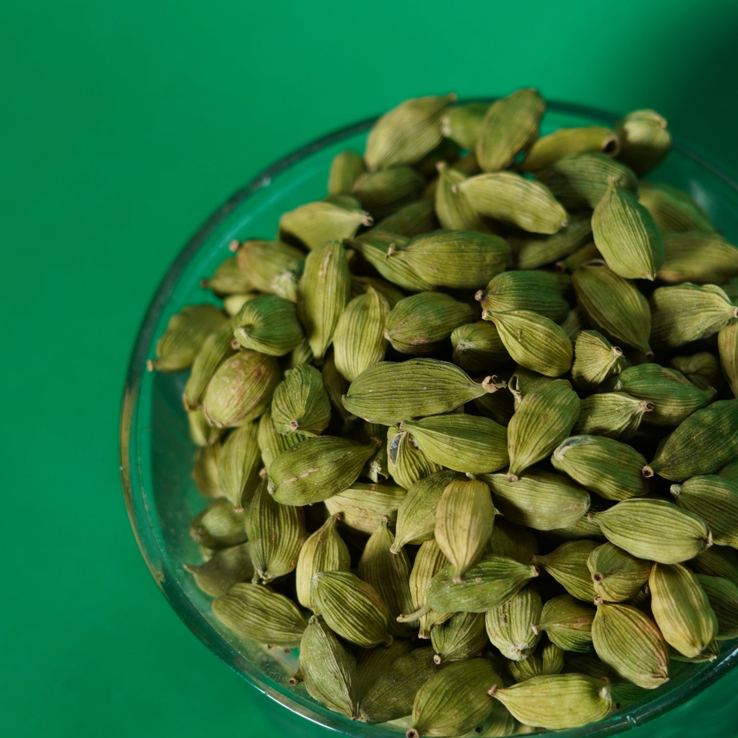 GREEN ELACHI