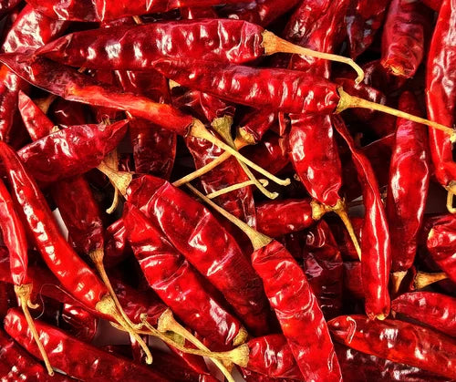 KASHMIRI CHILLLI (SABOOT)