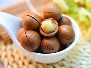 Macadamia Nut